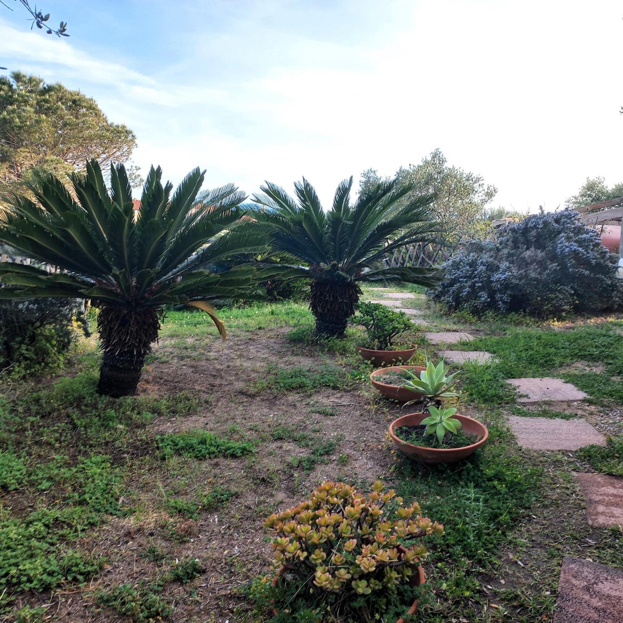 Villa Graziella La Maddalena  Bagian luar foto
