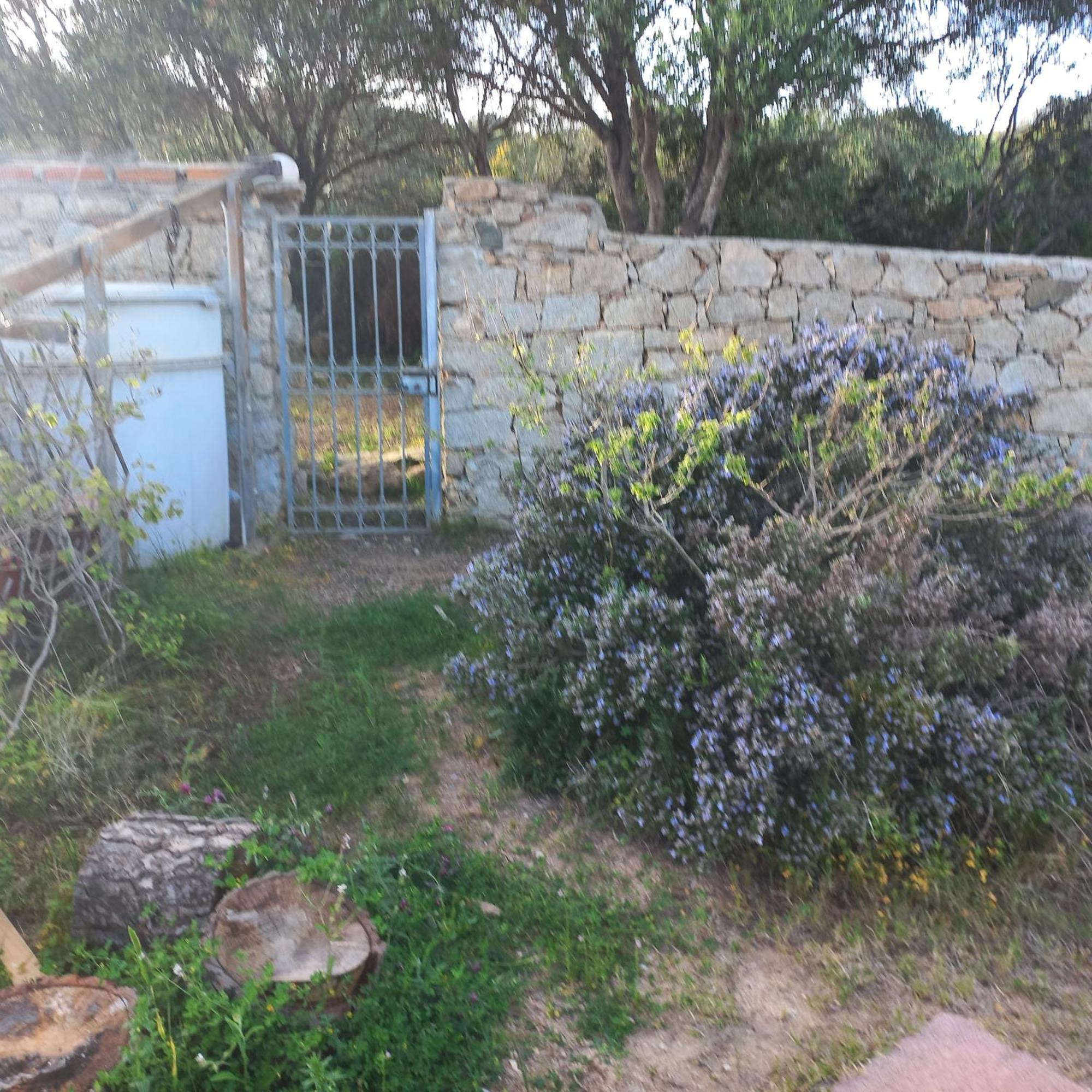 Villa Graziella La Maddalena  Bagian luar foto