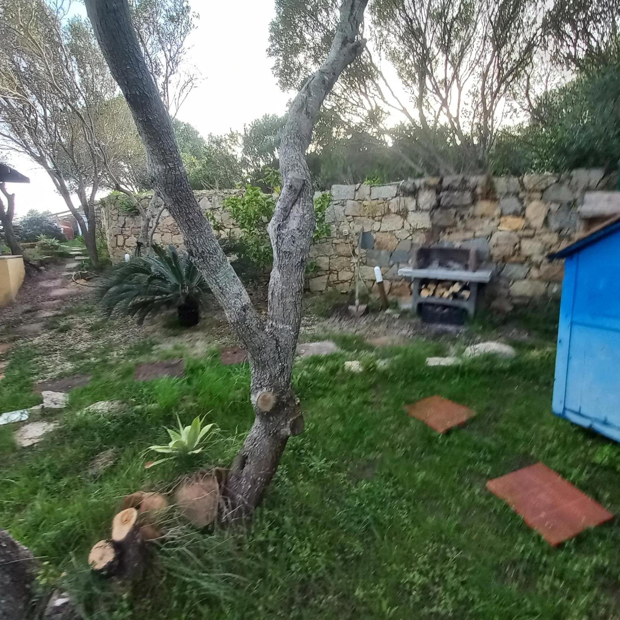 Villa Graziella La Maddalena  Bagian luar foto